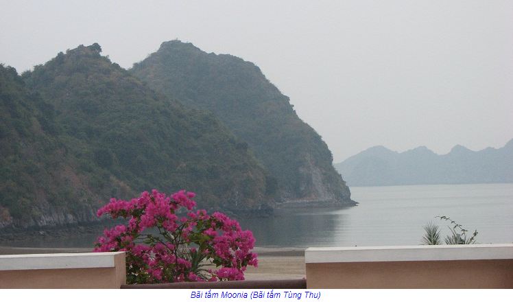 Tiến độ thực hiện dự án Tháng 12.2010(tiếp)