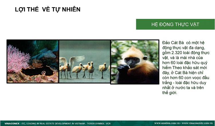 Lợi thế về thiên nhiên